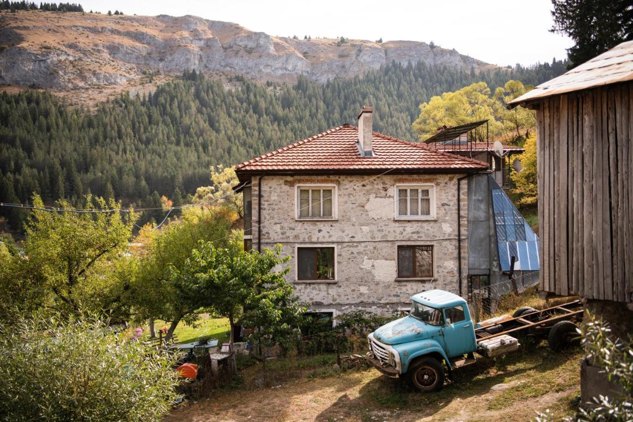 Къща До Гората Триград Villa Exterior photo